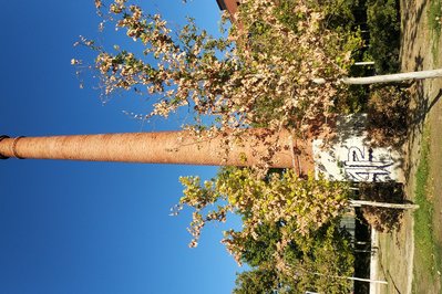 Chimenea de la antigua fábrica in Misiones, Argentina – Museum Information gallery image