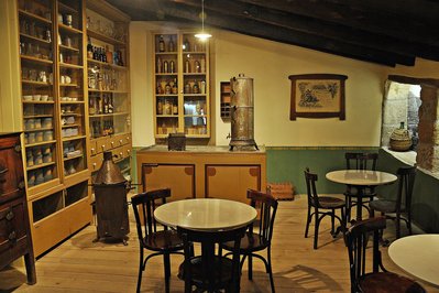 Museo Imágenes de la Selva in Puerto Iguazu, Argentina – Museum Information gallery image