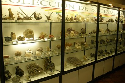 Museo de Ciencias Naturales in San Juan, Argentina – Museum Information gallery image