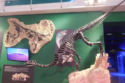 Museo de Ciencias Naturales in San Juan, Argentina – Museum Information gallery image