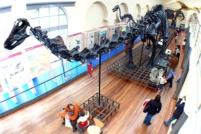 Museo de Ciencias Naturales in San Juan, Argentina – Museum Information gallery image