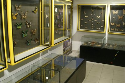 Museo de Ciencias Naturales in San Juan, Argentina – Museum Information gallery image