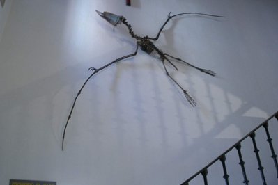 Museo de Ciencias Naturales in San Juan, Argentina – Museum Information gallery image