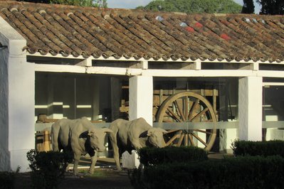 Museo de la Industria Azucarera – Casa Obispo Colombres in San Miguel de Tucuman, Argentina – Museum Information gallery image