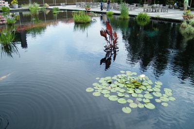 National Arboretum in Canberra, Australia – Museum Information gallery image