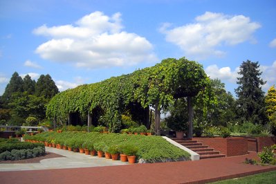 National Arboretum in Canberra, Australia – Museum Information gallery image