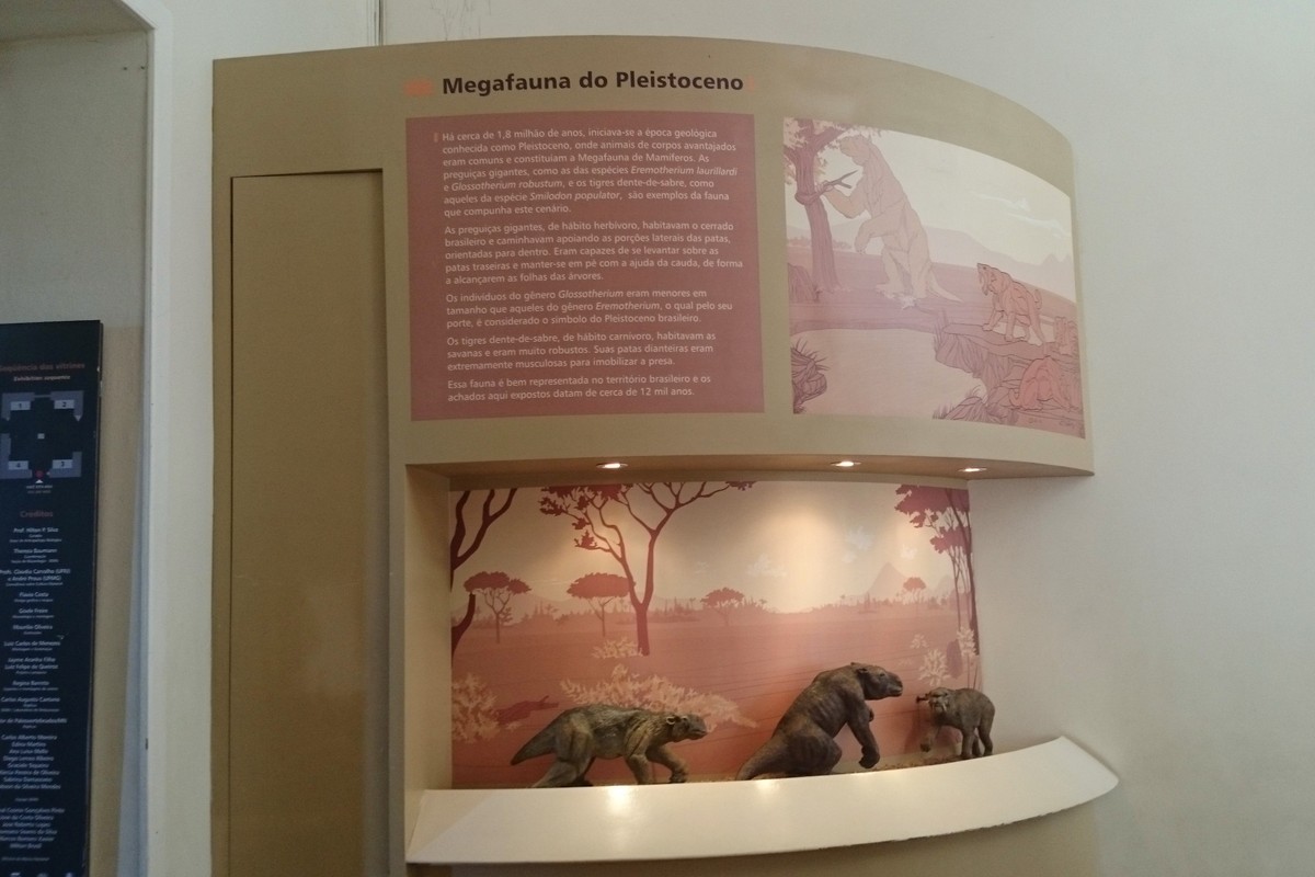 Megafauna Central in Alice Springs, Australia – Museum Information