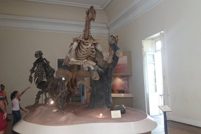 Megafauna Central in Alice Springs, Australia – Museum Information gallery image