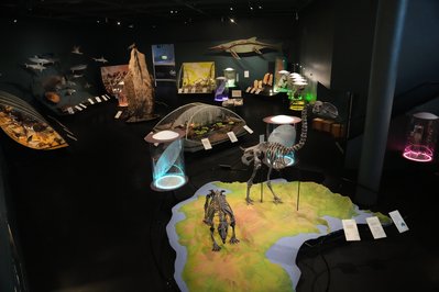 Museum and Art Gallery of the Northern Territory in Darwin, Australia – Museum Information gallery image