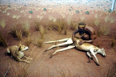Museum of Central Australia in Alice Springs, Australia – Museum Information gallery image