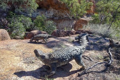 Australian Age of Dinosaurs in Queensland, Australia – Museum Information gallery image