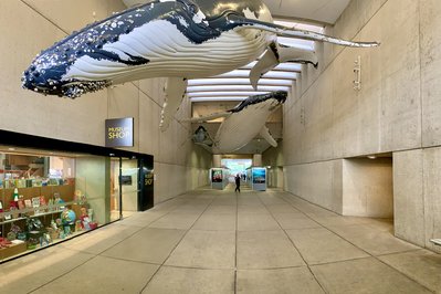 Museums & Galleries Queensland in Brisbane, Australia – Museum Information gallery image