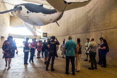 Queensland Museum Kurilpa in Brisbane, Australia – Museum Information gallery image