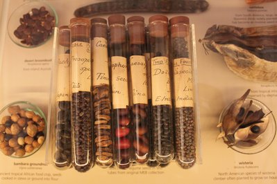 Museum of Economic Botany in Adelaide, Australia – Museum Information gallery image