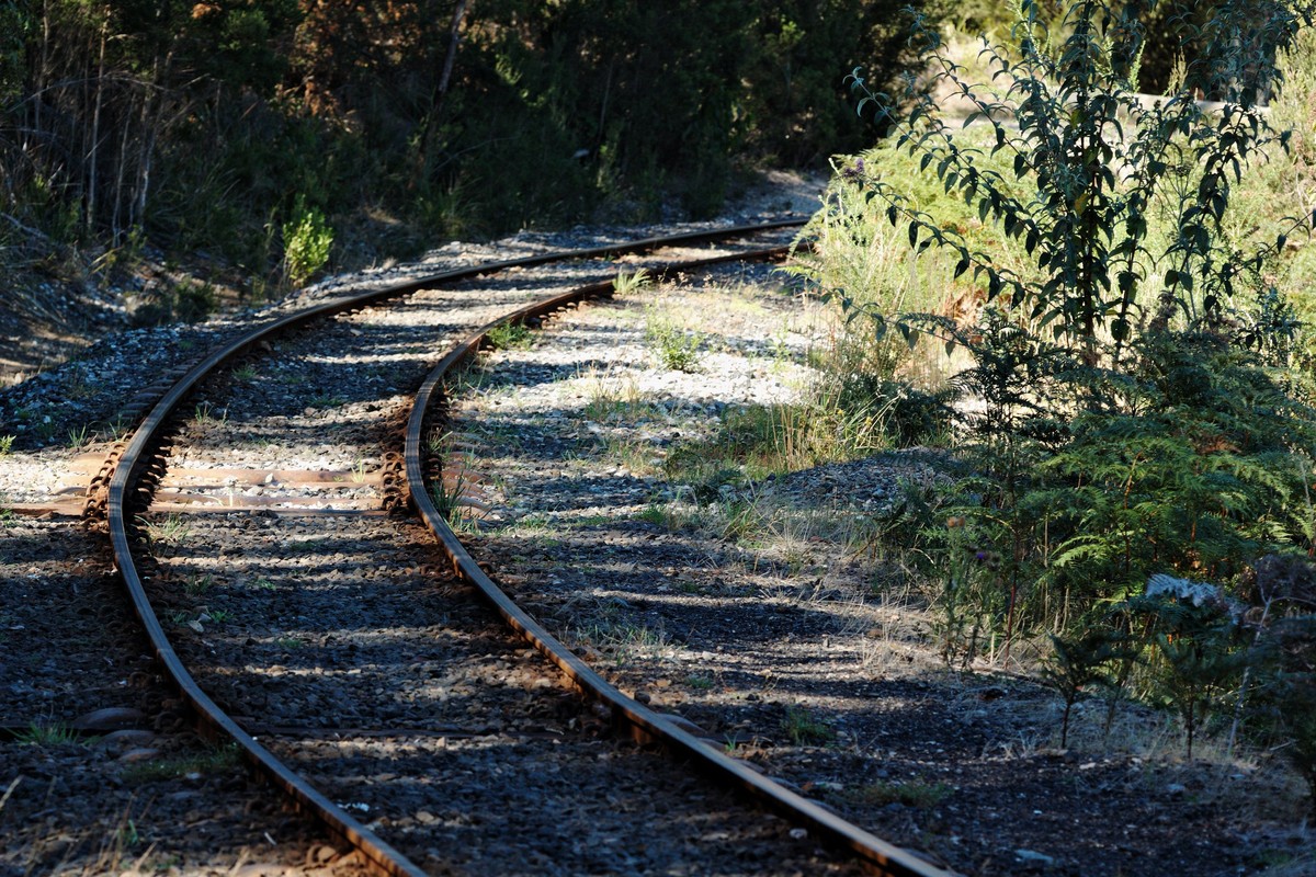 Don River Railway in Tasmania, Australia – Museum Information