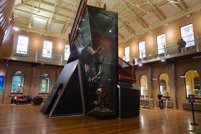 Tasmanian Museum and Art Gallery in Hobart, Australia – Museum Information gallery image