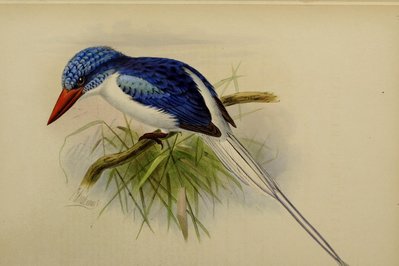Melbourne’s Living Museum of the West in Melbourne, Australia – Museum Information gallery image