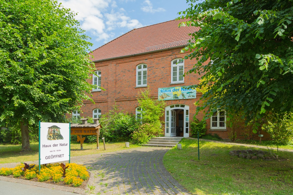 Haus der Natur in Salzburg, Austria – Museum Information