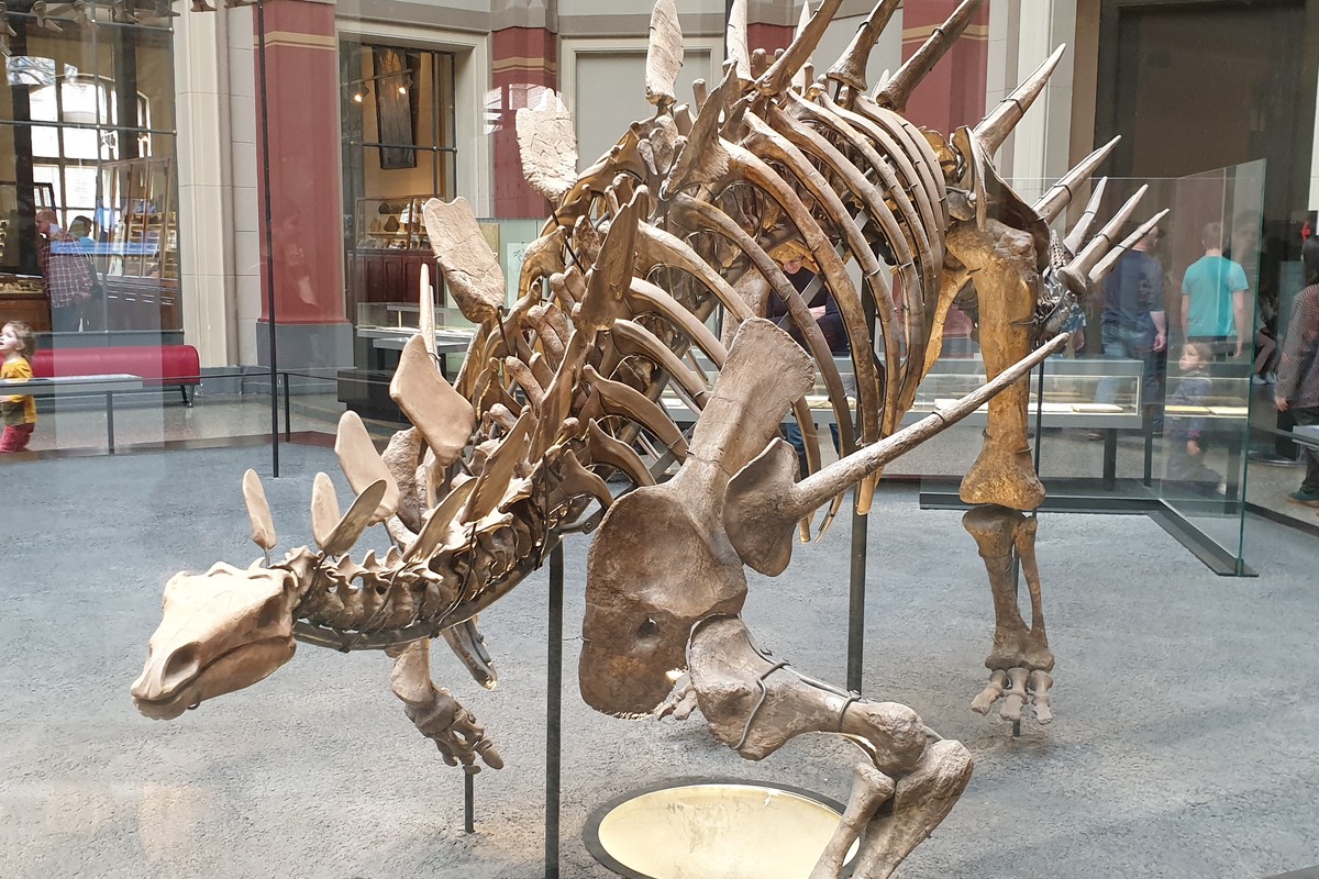 Naturkundemuseum in Graz, Austria – Museum Information