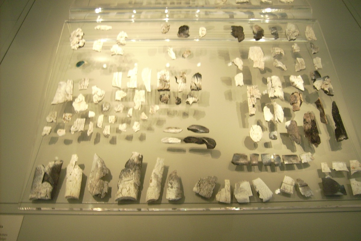 Antikensammlung in Vienna, Austria – Museum Information