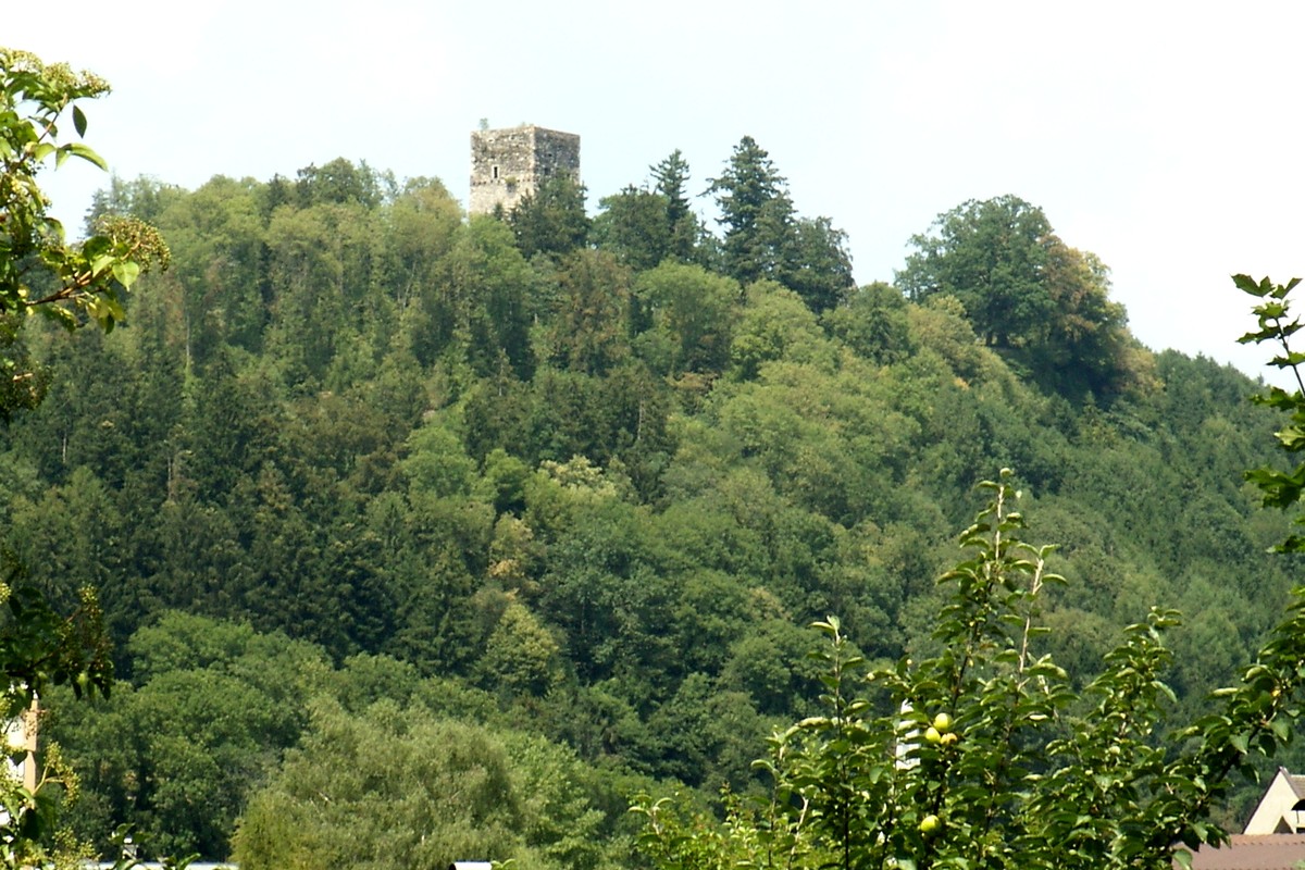 Tostner Burg in Feldkirch, Austria – Museum Information