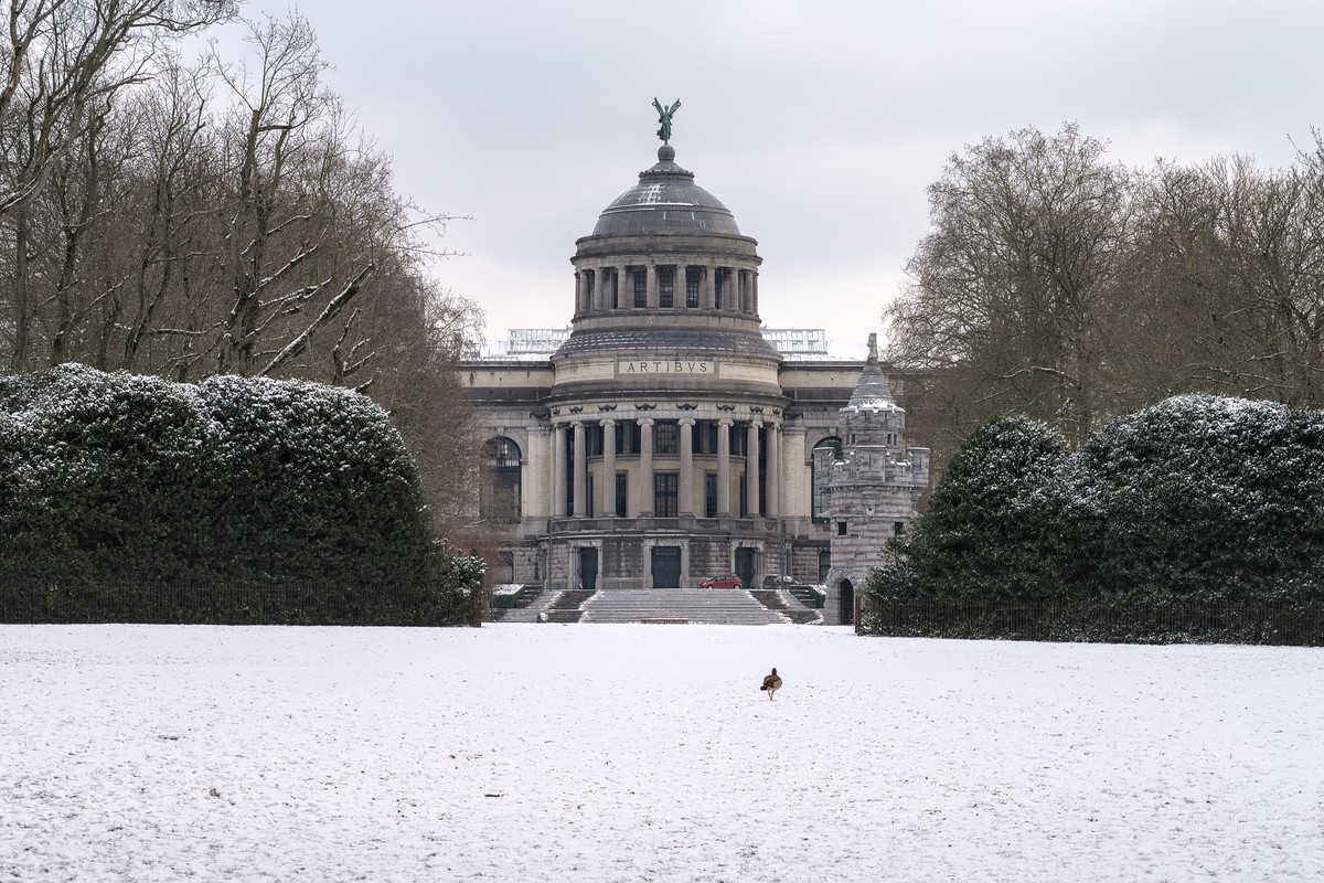 Art & History Museum in Brussels, Belgium – Museum Information