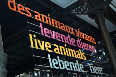 Royal Belgian institute of Natural Sciences in Brussels, Belgium – Museum Information gallery image