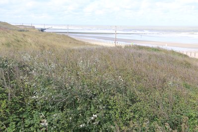 Atlantikwall Raversyde in Flanders, Belgium – Museum Information gallery image