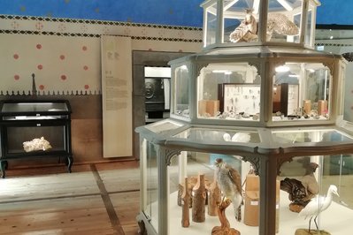 Regional Museum of Natural Sciences in Mons, Belgium – Museum Information gallery image