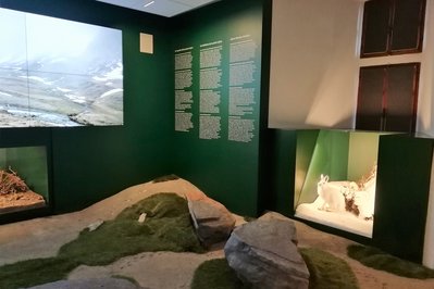 Regional Museum of Natural Sciences in Mons, Belgium – Museum Information gallery image