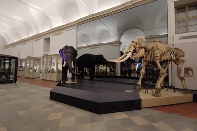 Regional Museum of Natural Sciences in Mons, Belgium – Museum Information gallery image