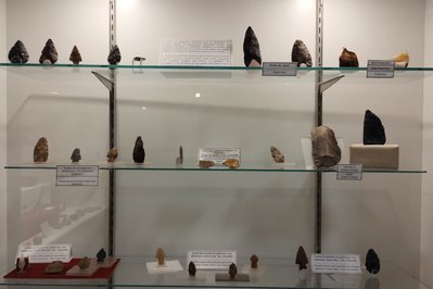 Regional Museum of Natural Sciences in Mons, Belgium – Museum Information gallery image