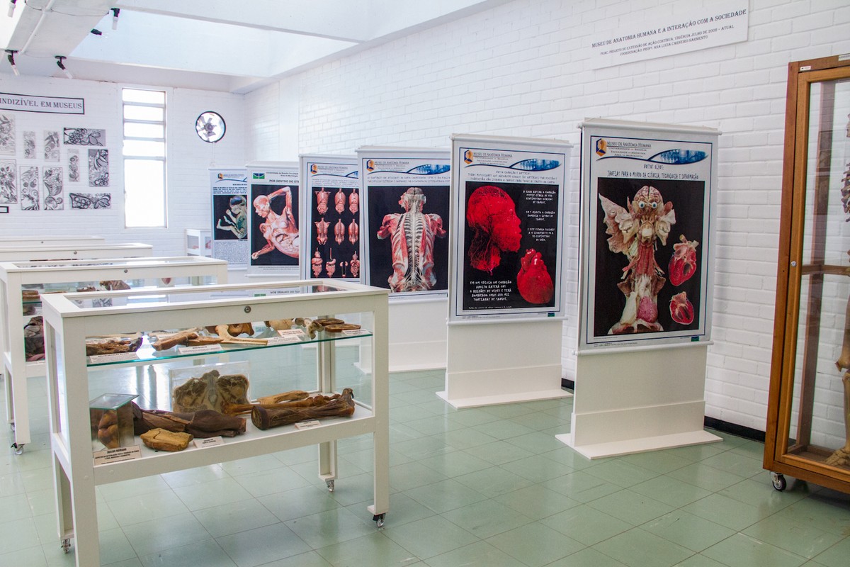 Anatomía Humana in Chuquisaca, Bolivia – Museum Information