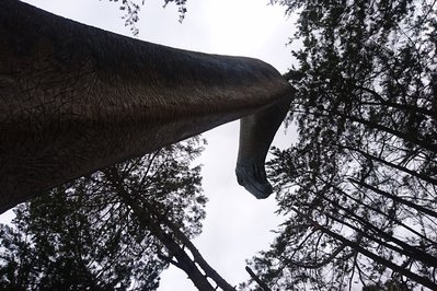Parque Cretácico in Chuquisaca, Bolivia – Museum Information gallery image