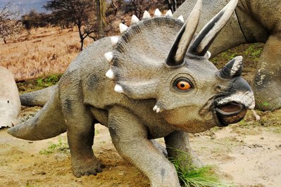 Dinosaurios in Sacaba, Bolivia – Museum Information gallery image