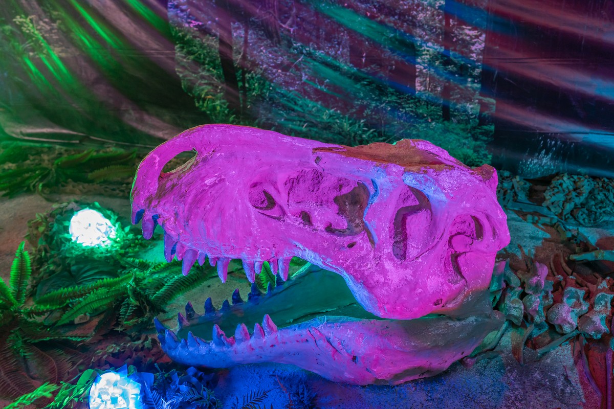 Dinosaurios in Sacaba, Bolivia – Museum Information