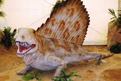 Dinosaurios in Sacaba, Bolivia – Museum Information gallery image