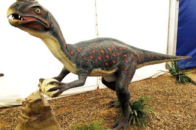 Dinosaurios in Sacaba, Bolivia – Museum Information gallery image