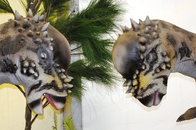Dinosaurios in Sacaba, Bolivia – Museum Information gallery image