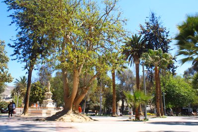 ESCUELA DE ARMAS in Cochabamba, Bolivia – Museum Information gallery image