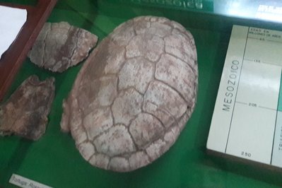 Museo Arqueológico de la Universidad in Cochabamba, Bolivia – Museum Information gallery image