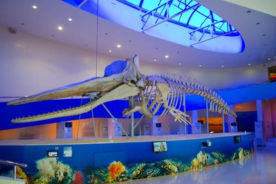 MaTi Museum in La Paz, Bolivia – Museum Information gallery image