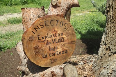 Persona Casa Galería in La Paz, Bolivia – Museum Information gallery image