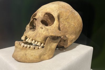 Pre-Columbian Precious Metals Museum in La Paz, Bolivia – Museum Information gallery image