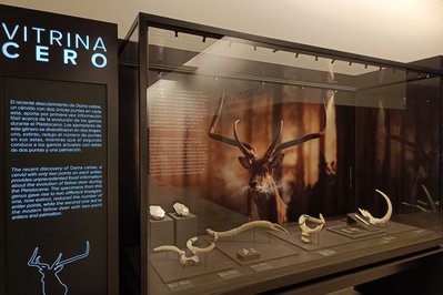 Museo Arqueológico in Huanuni, Bolivia – Museum Information gallery image