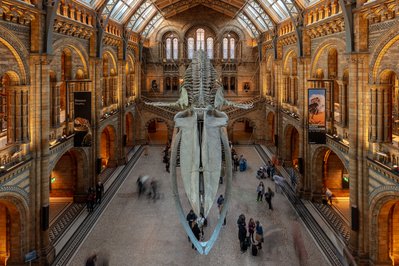 Museo Central in Tupiza, Bolivia – Museum Information gallery image