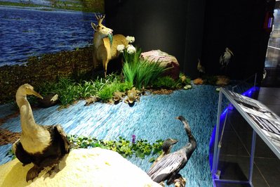 Museo Guarani in Santa Cruz de la Sierra, Bolivia – Museum Information gallery image