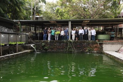 INPA – National Institute of Amazonian Research in Manaus, Brazil – Museum Information gallery image