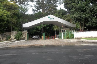 INPA – National Institute of Amazonian Research in Manaus, Brazil – Museum Information gallery image