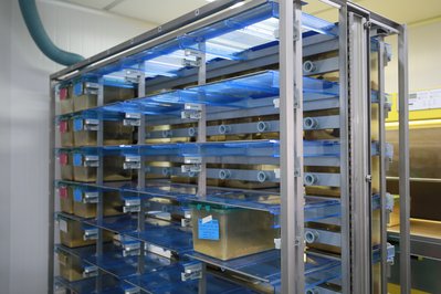 INPA – National Institute of Amazonian Research in Manaus, Brazil – Museum Information gallery image